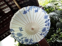 【湘潭】登騰寫真機應用于油傘紙生產行業(yè) 