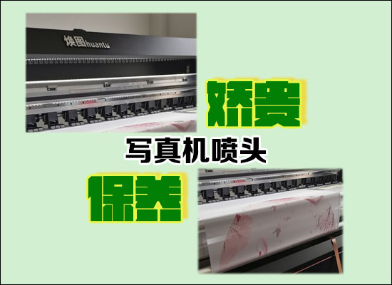 1562392972539602.jpg 嬌貴.jpg