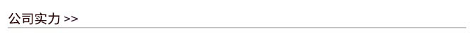 1588733291187017.jpg 公司實力.jpg